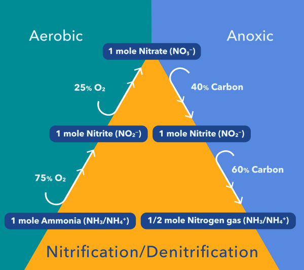 Nitrate in Water Nutrient Monitoring YSI Nitrate